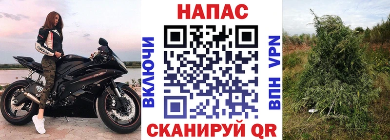 Что такое Малая Вишера Гашиш КОКАИН Alpha-PVP Марихуана ЭКСТАЗИ Метадон Мефедрон АМФ