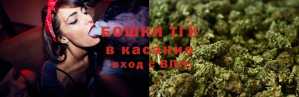 индика Армянск