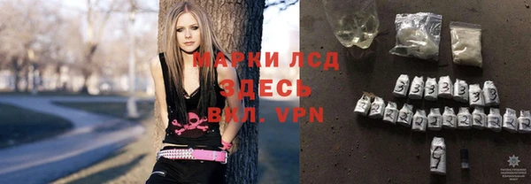 индика Армянск