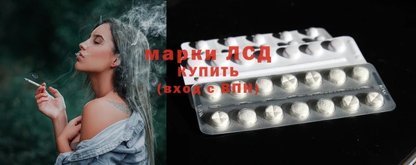 индика Армянск