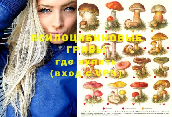 винт Арсеньев