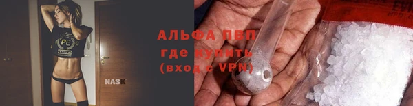 винт Арсеньев