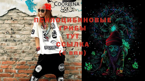 ГАЛЛЮЦИНОГЕННЫЕ ГРИБЫ Аркадак