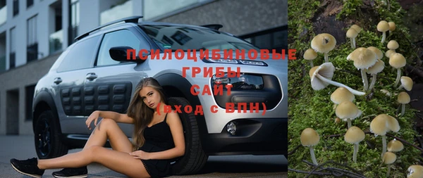 винт Арсеньев