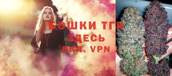 ГАЛЛЮЦИНОГЕННЫЕ ГРИБЫ Аркадак