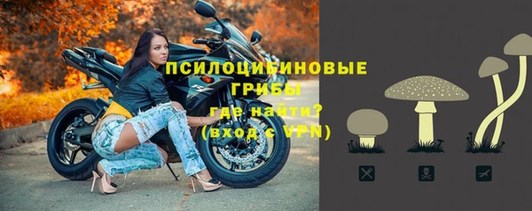 ГАЛЛЮЦИНОГЕННЫЕ ГРИБЫ Аркадак