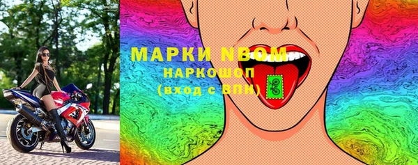 индика Армянск