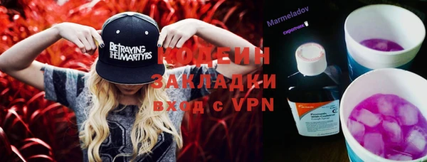 индика Армянск